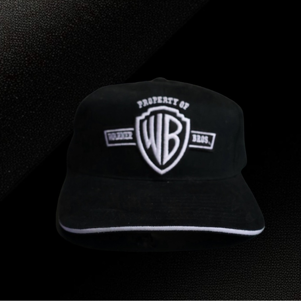 Vintage Warner bros hat